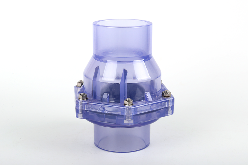 景宁透明翻板式止回阀